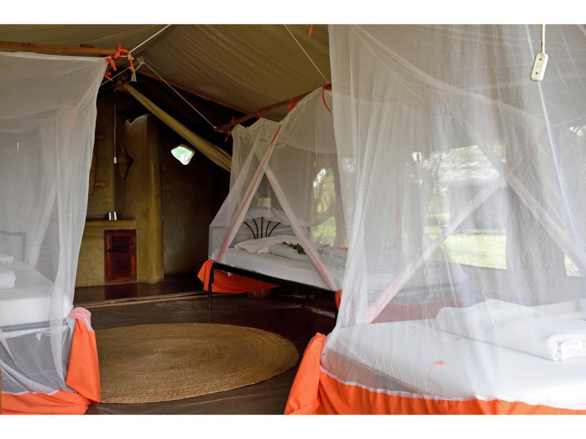 Ikoma Bush Camp Robanda Exterior photo